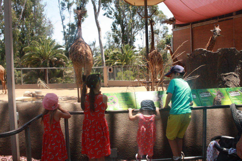 Zoo de San Diego 