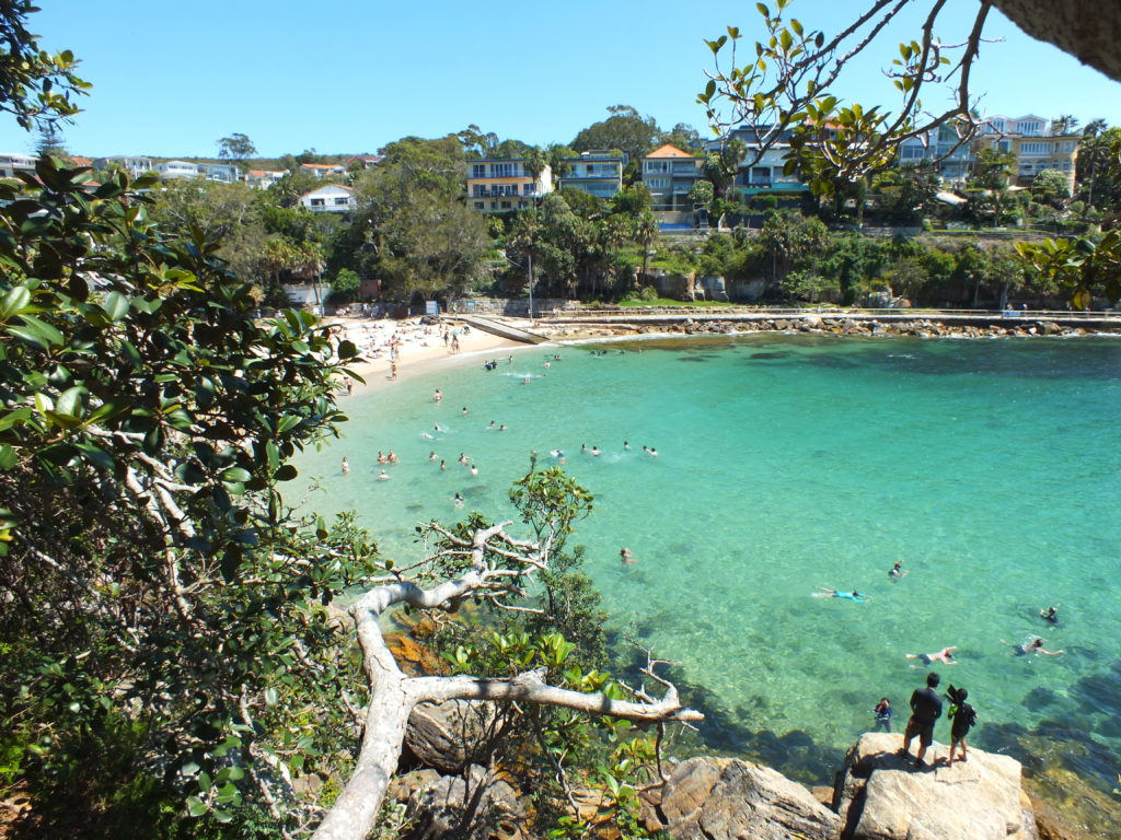 Manly-Shelly Beach